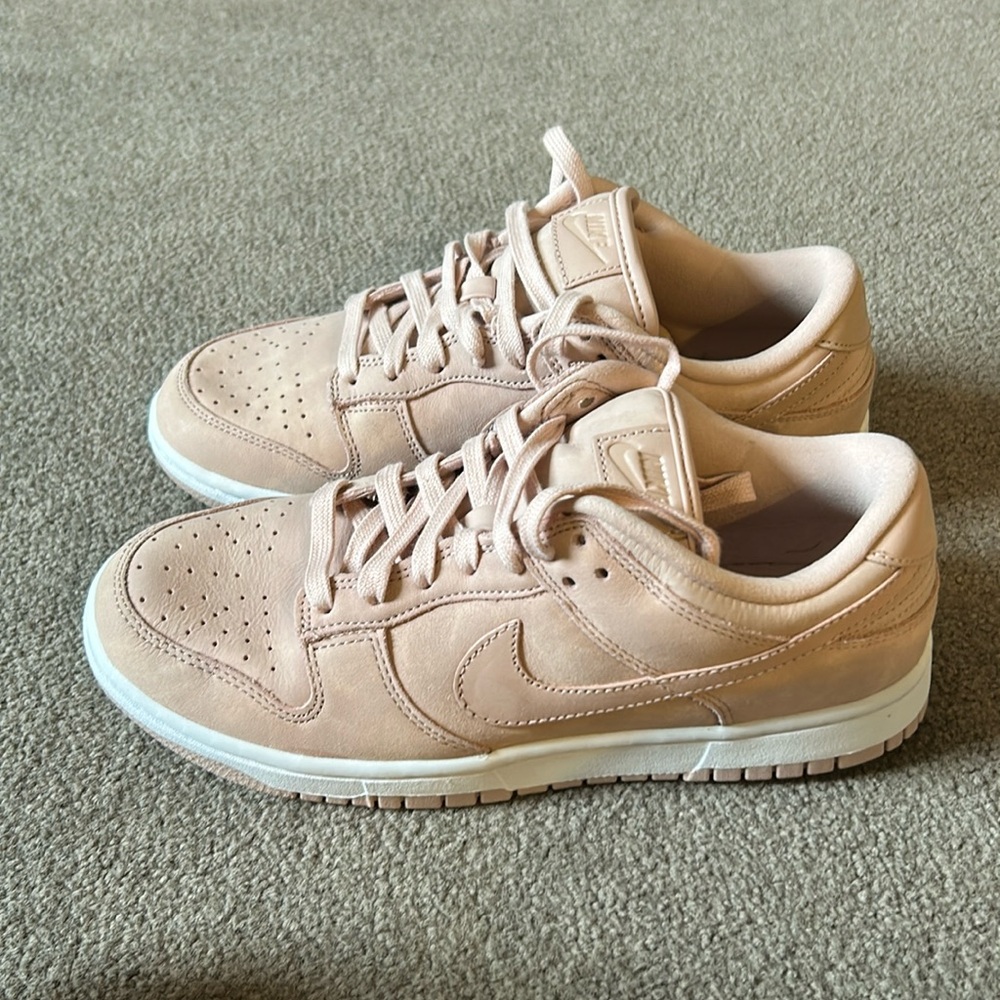 Nike Dunks NWOT